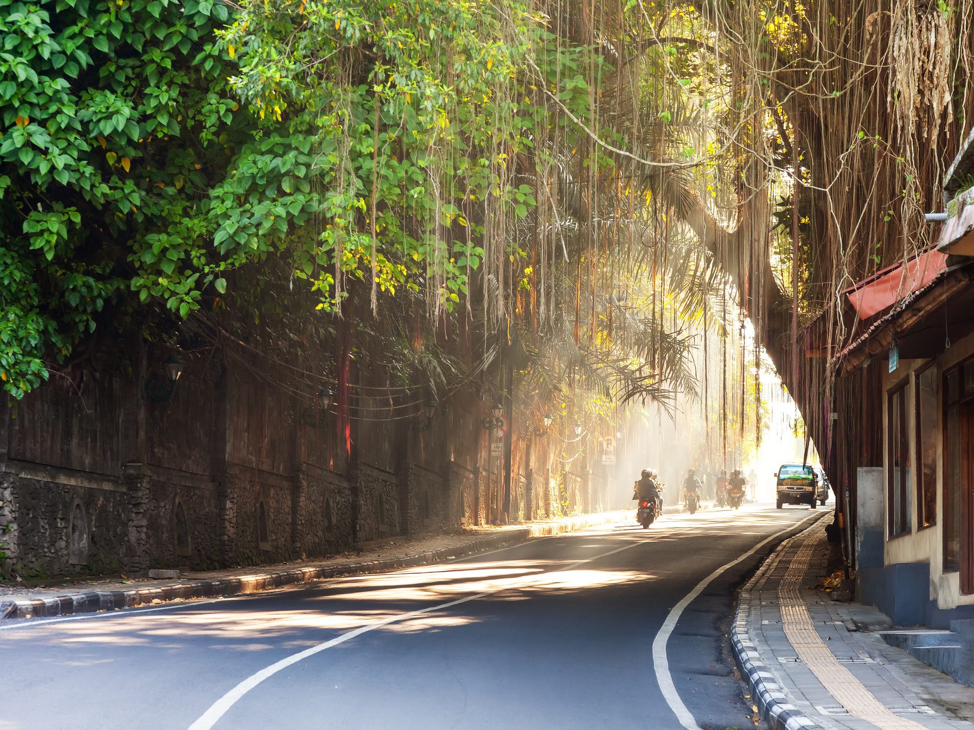 curving-street-through-ubud-town-bali-indonesia.jpg
