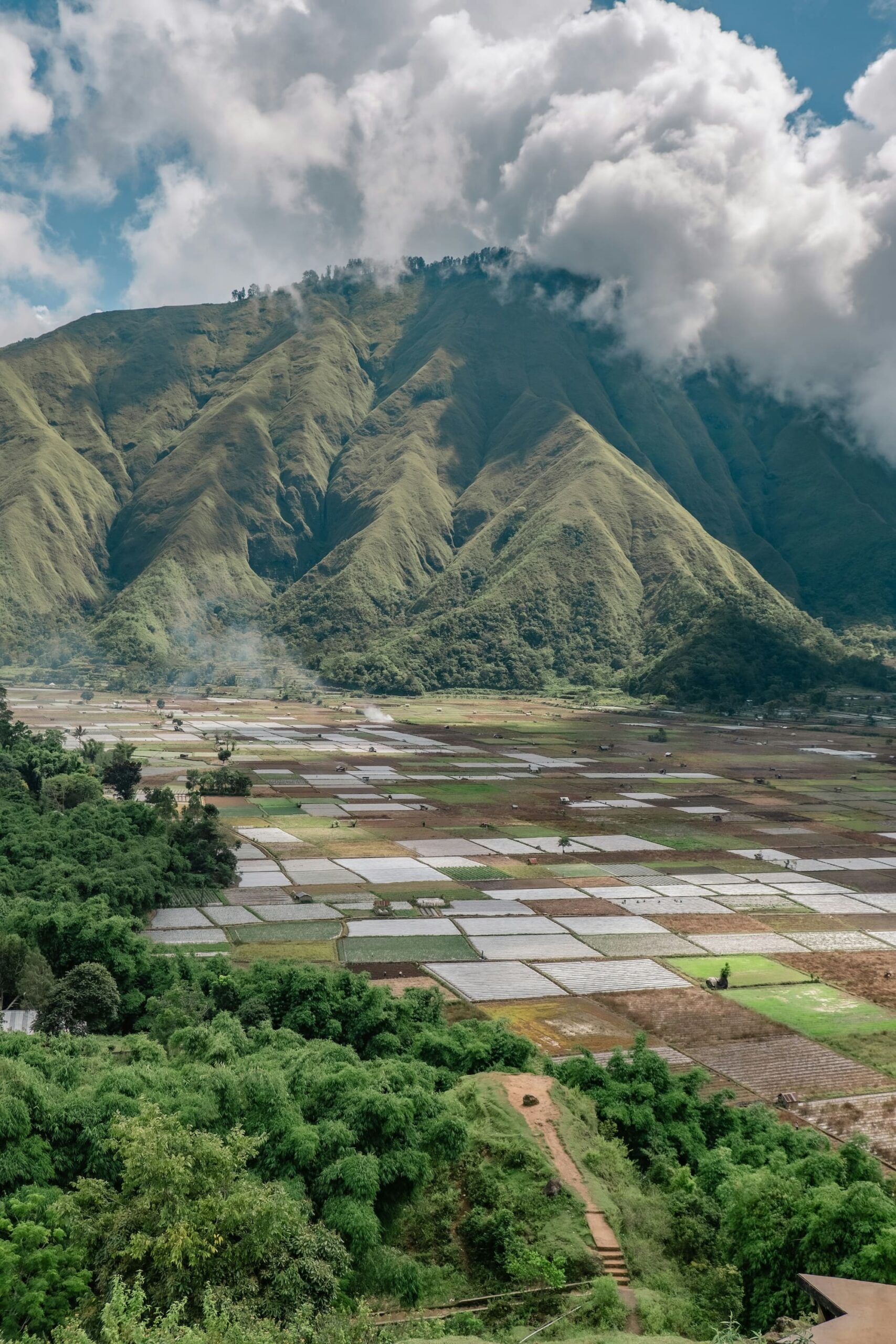Blick auf das Sembalun-Tal am Fuße des Mount Rinjani mit geometrischen Reisfeldern auf Lombok Reise