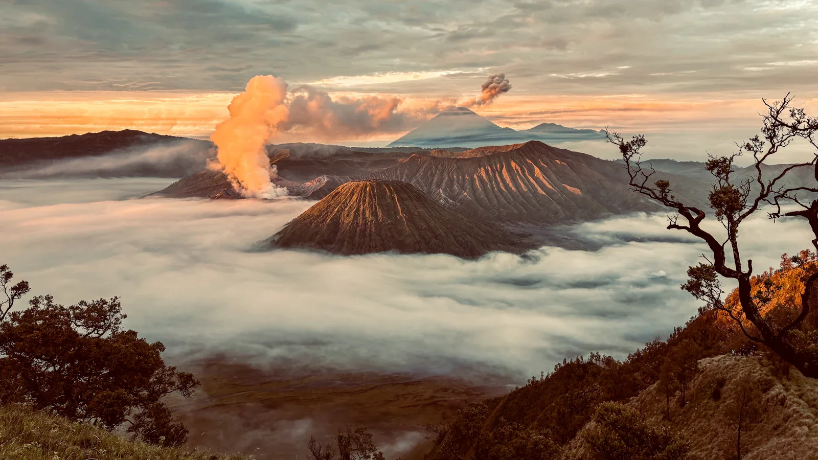 Geländewagen fahren durch die Vulkanlandschaft des Bromo, staubige Pisten durch das Tengger-Massiv Java Indonesien