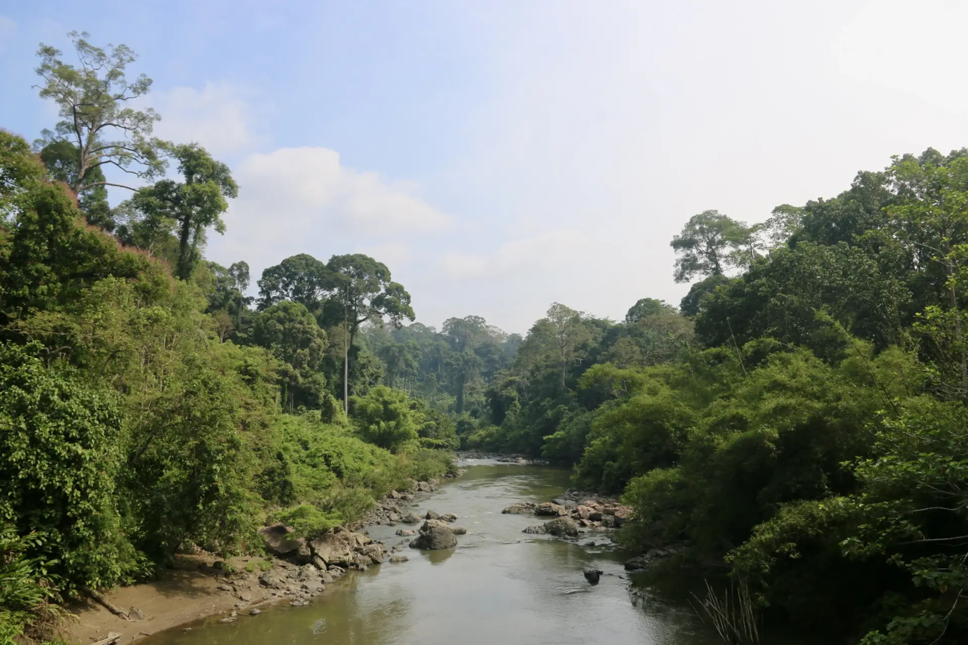 Dayak-Langhaus am Flussufer im Morgennebel, tropischer Regenwald, Borneo, Indonesien Kulturreise