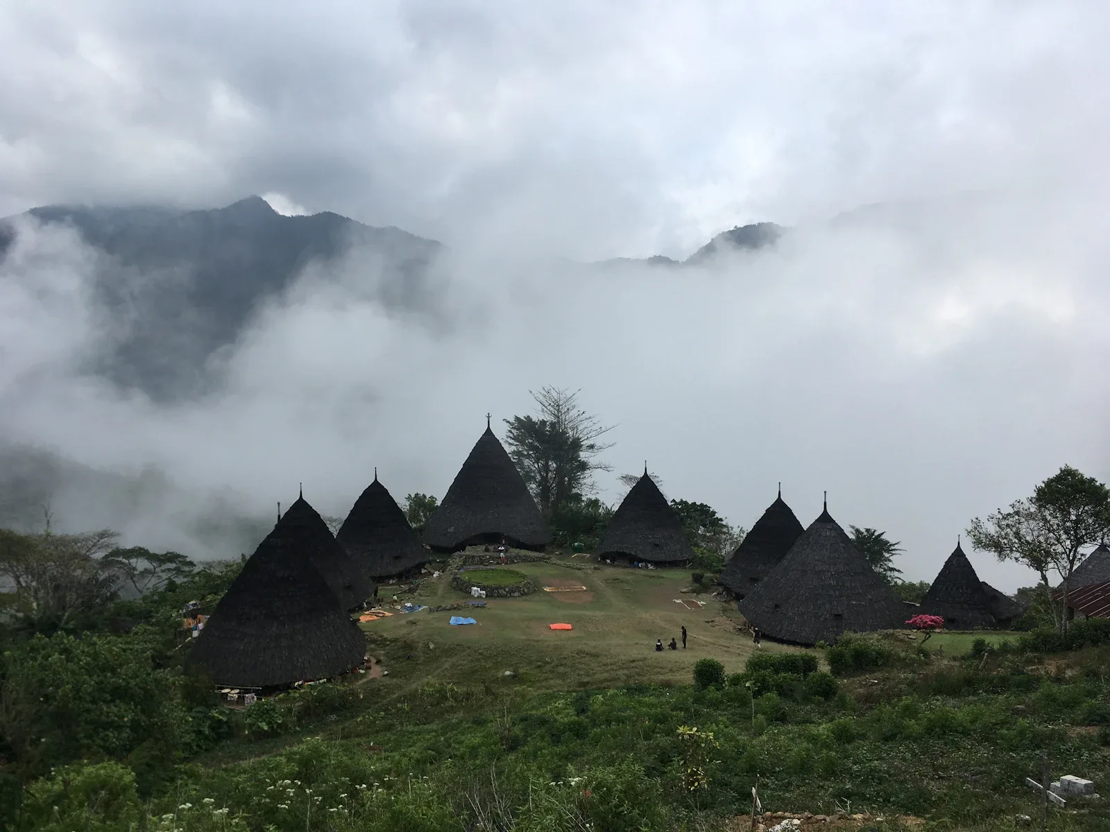 Traditionelle kegelförmige Häuser im Bergdorf Wae Rebo, Flores, umgeben von Nebelwald auf Indonesien Reise