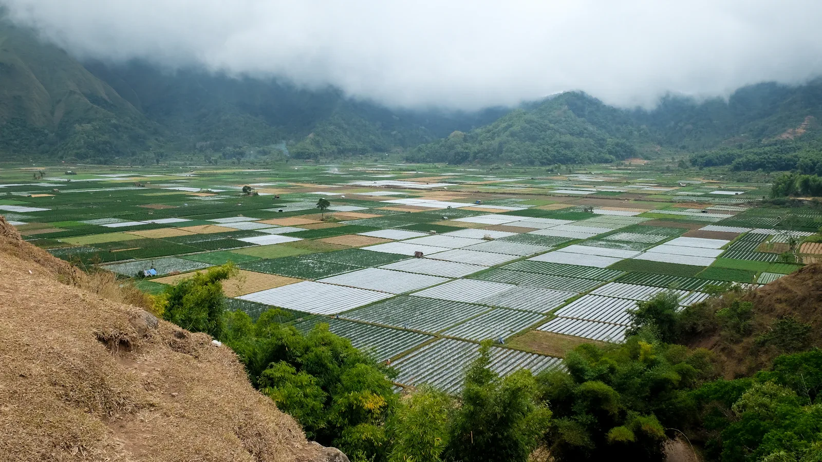 Grüne Reisterrassen mit Bauern und Vulkan Rinjani im Hintergrund, Lombok, Indonesien Reise