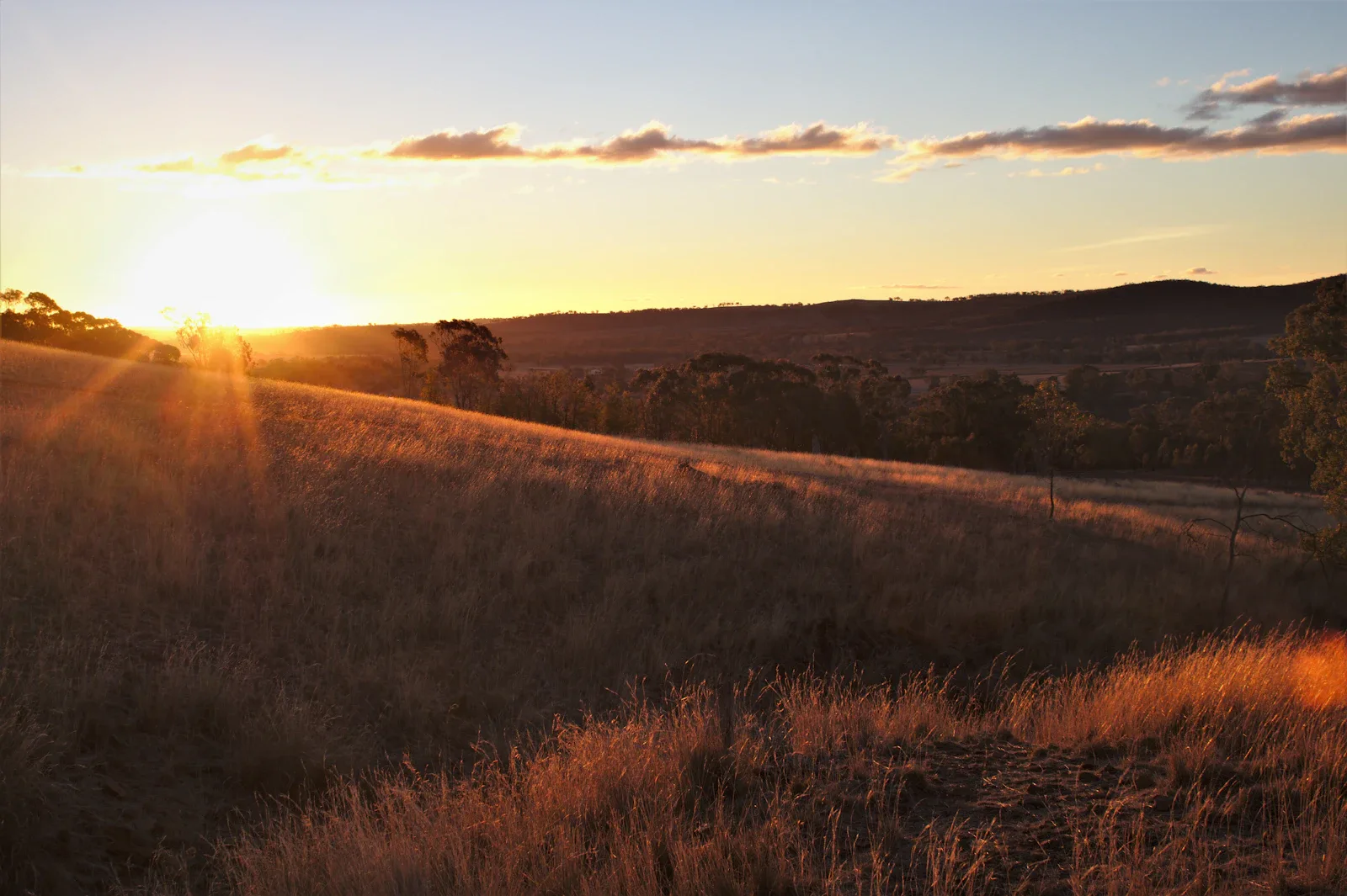 Weitläufige Savannenlandschaft mit Hügeln bei Sonnenuntergang auf Sumba, typische Landschaft der indonesischen Insel