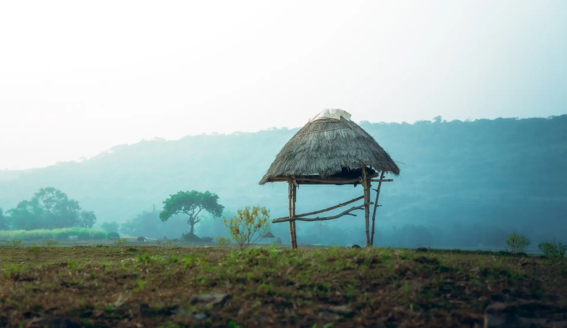 Panoramablick über die goldene Savannenlandschaft Sumbas mit traditionellen Dörfern und Hügeln in Indonesien